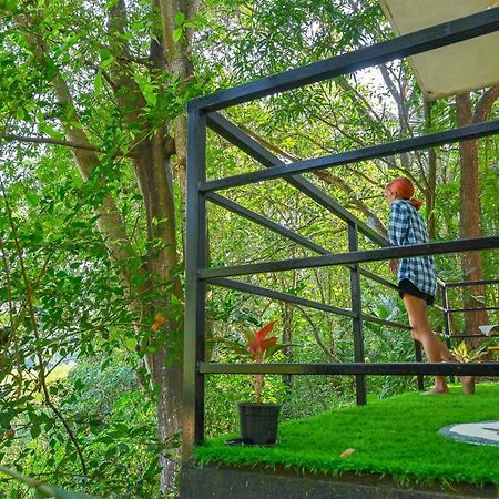 Shell House - Private Stay With Garden View In Arambol Mandrem Extérieur photo