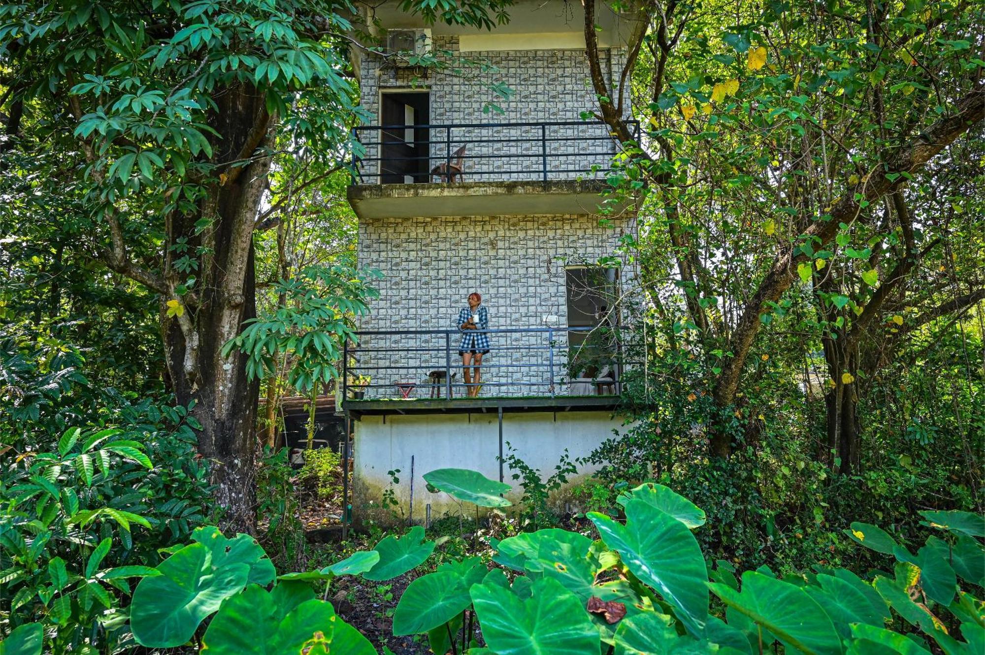 Shell House - Private Stay With Garden View In Arambol Mandrem Extérieur photo